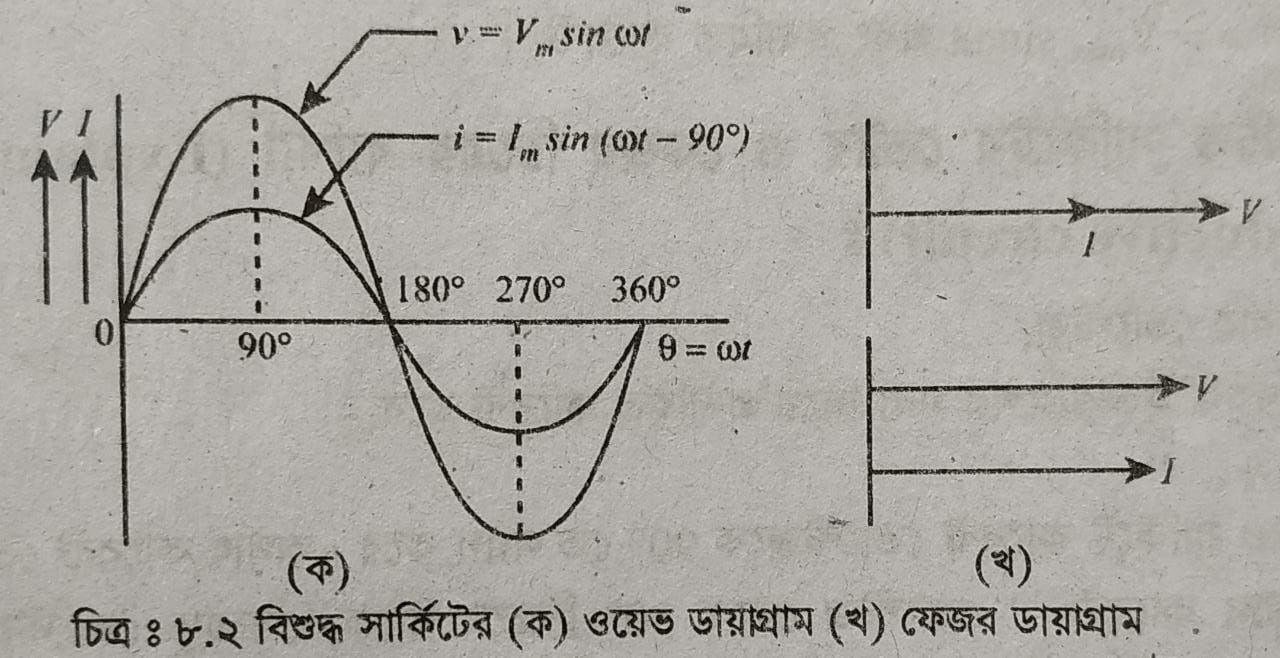 বিশুদ্ধ রেজিস্টিভ সার্কিটের ফেজর এবং ভেক্টর চিত্রের ব্যাখ্যা