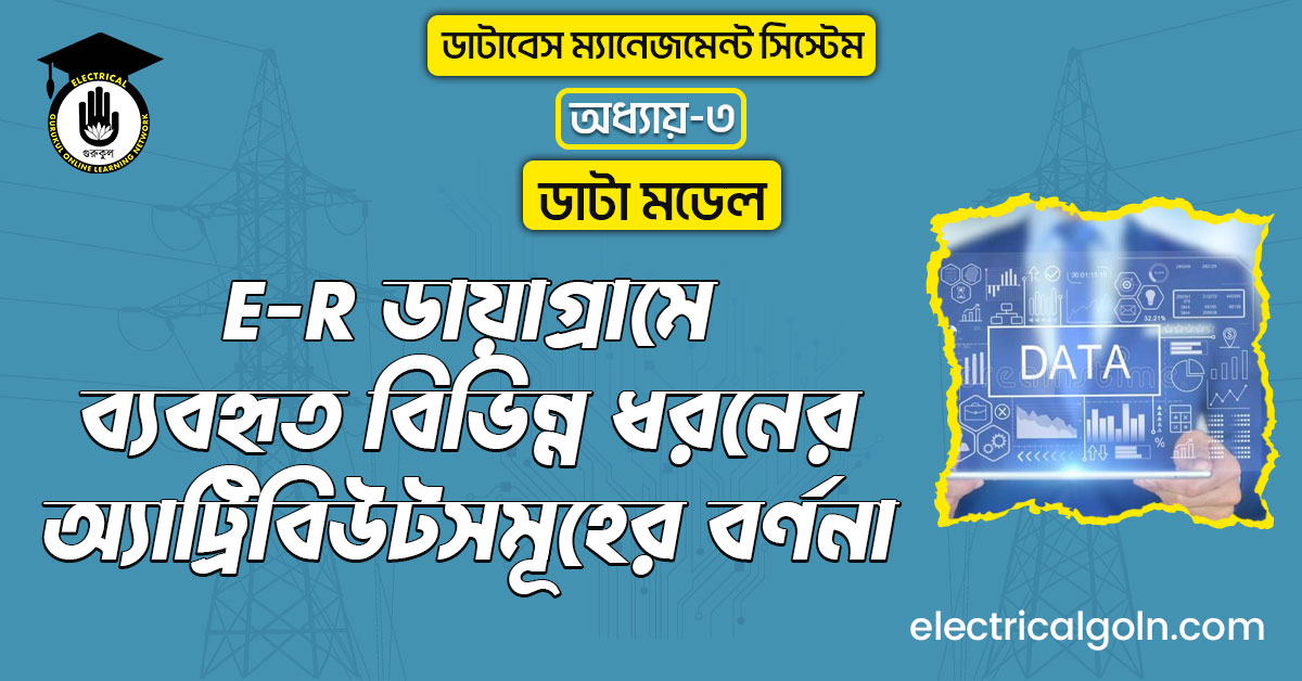 E-R ডায়াগ্রামে ব্যবহৃত বিভিন্ন ধরনের অ্যাট্রিবিউটসমূহের বর্ণনা