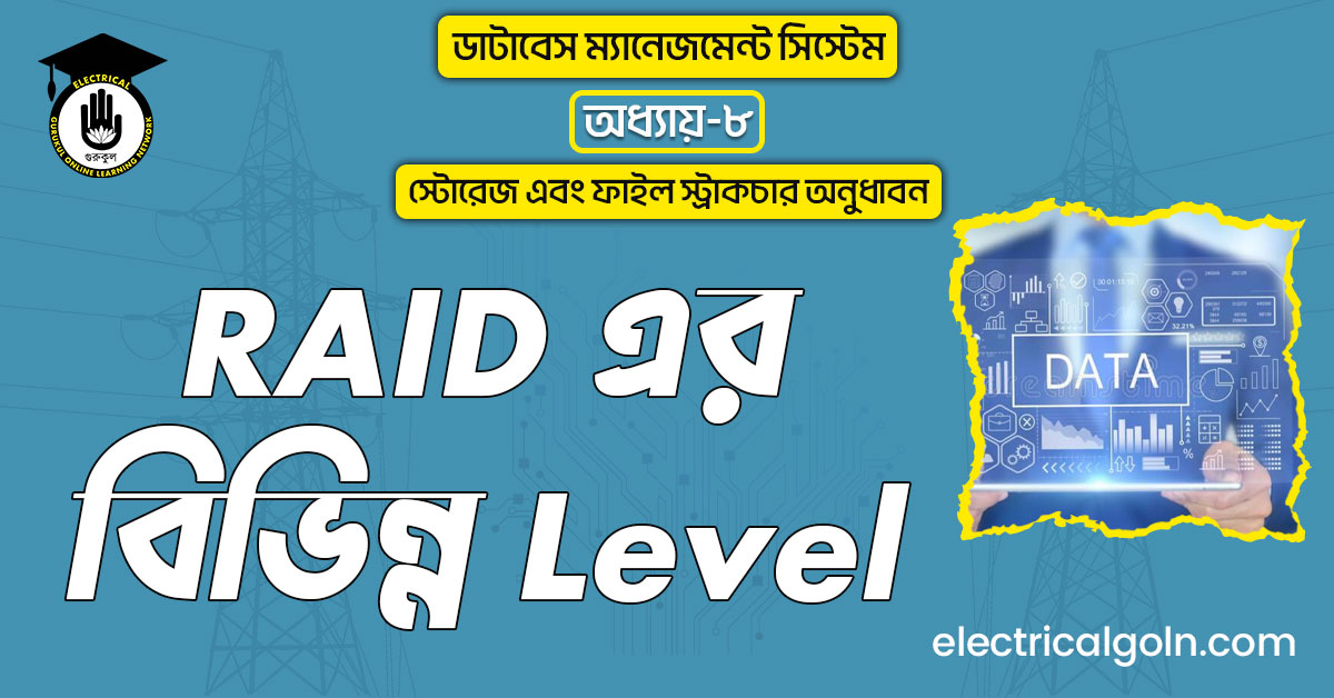 RAID এর বিভিন্ন Level